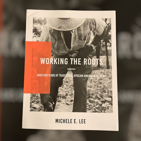 Working The Roots: Over 400 Years of Traditional African American Healing